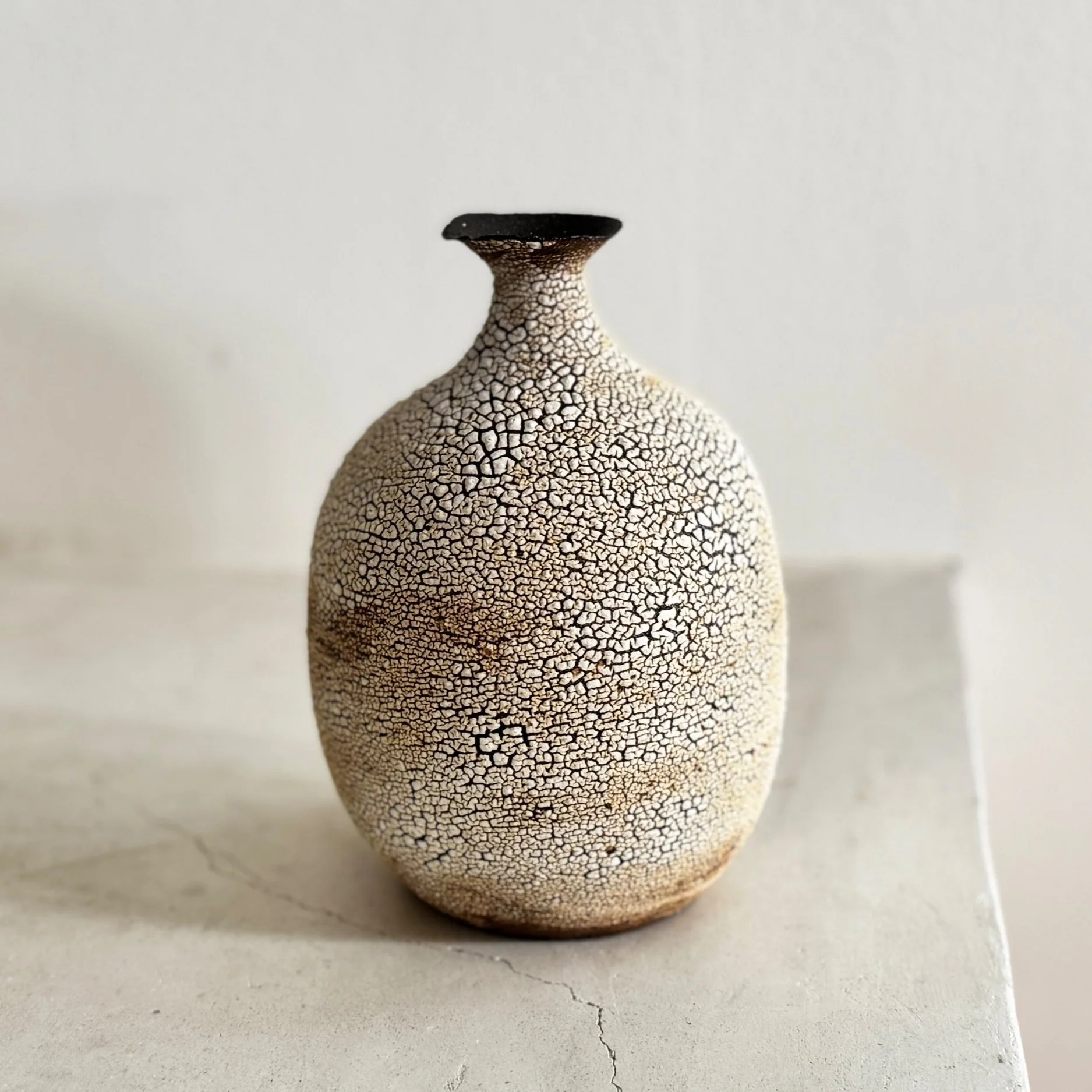 shop — D:CERAMICS